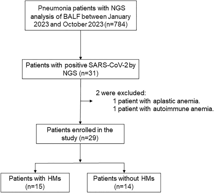 Analysis of coinfections in patients with hematologic malignancies and COVID-19 by next-generation sequencing of bronchoalveolar lavage fluid