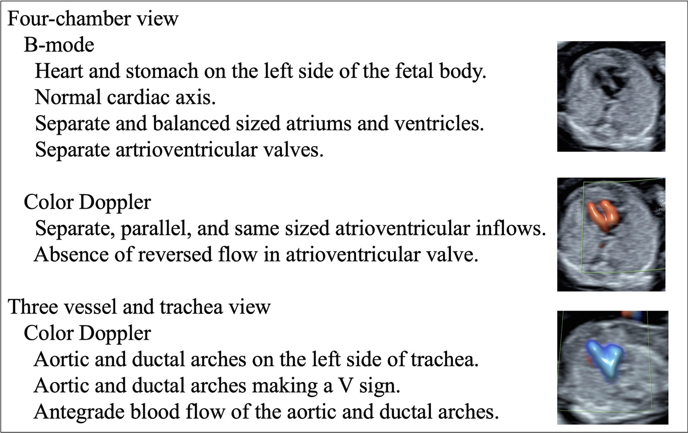 Factors affecting the accuracy of fetal cardiac ultrasound screening in the first trimester of pregnancy