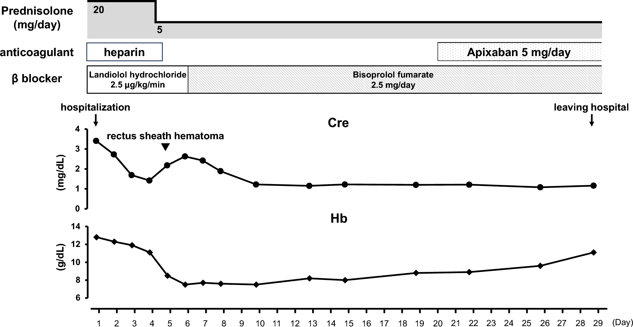 A case of non-traumatic rectus sheath hematoma in a post-kidney transplant patient undergoing catheter embolization during anticoagulation treatment for atrial fibrillation