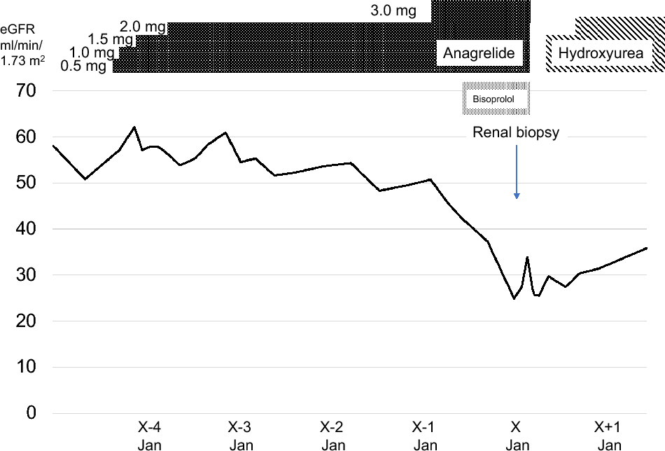 Renal tubular necrosis associated with anagrelide administration: a case report