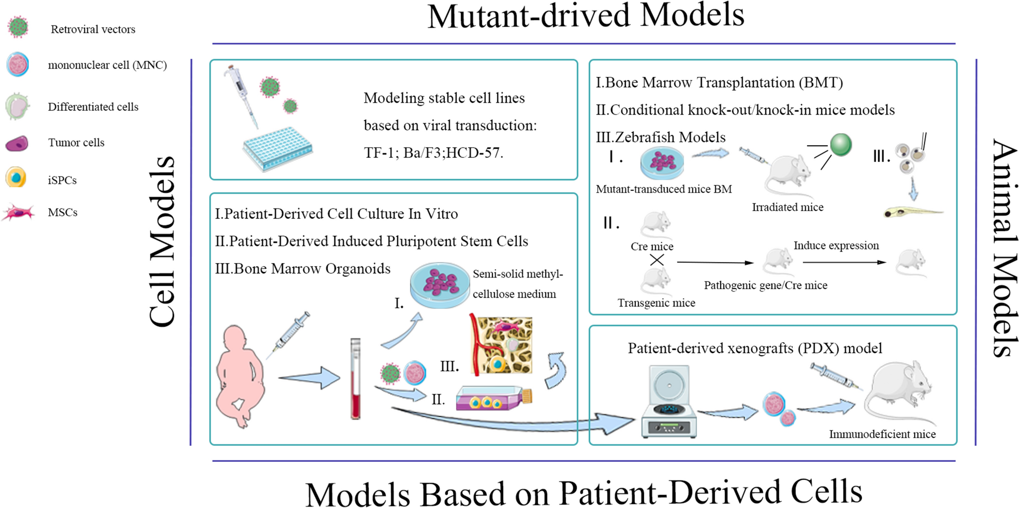Progression and perspectives in disease modeling for Juvenile myelomonocytic leukemia