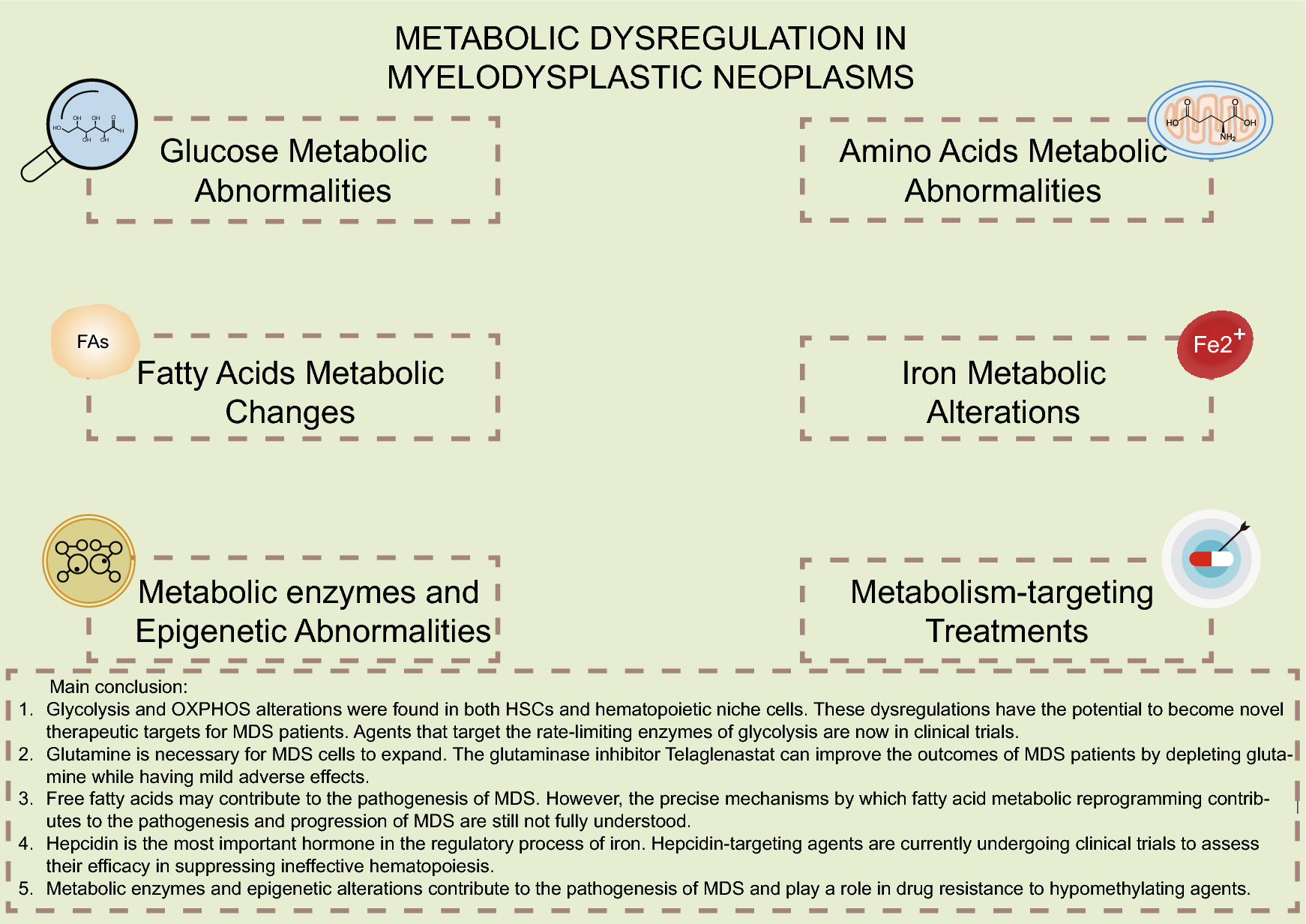 Metabolic dysregulation in myelodysplastic neoplasm: impact on pathogenesis and potential therapeutic targets