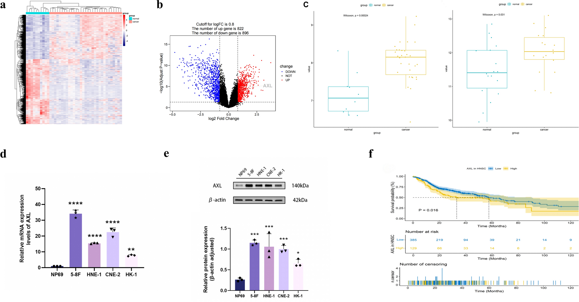 The AXL-mediated modulation of myeloid-derived suppressor cells (MDSC) in nasopharyngeal carcinoma