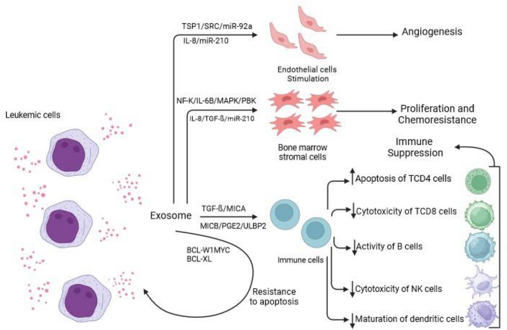 Dual roles of extracellular vesicles in acute lymphoblastic leukemia: implications for disease progression and theranostic strategies