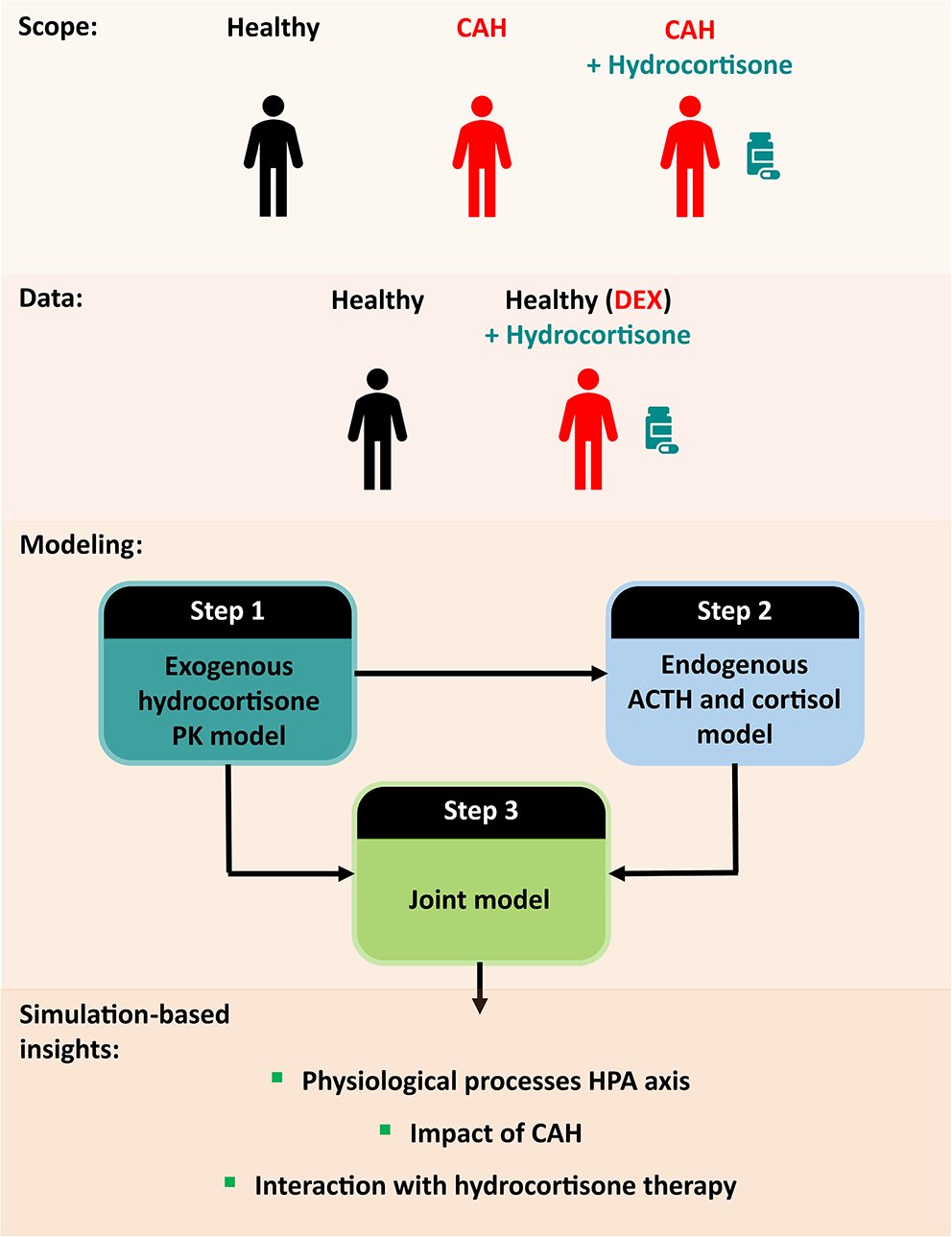 A quantitative modeling framework to understand the physiology of the hypothalamic-pituitary-adrenal axis and interaction with cortisol replacement therapy