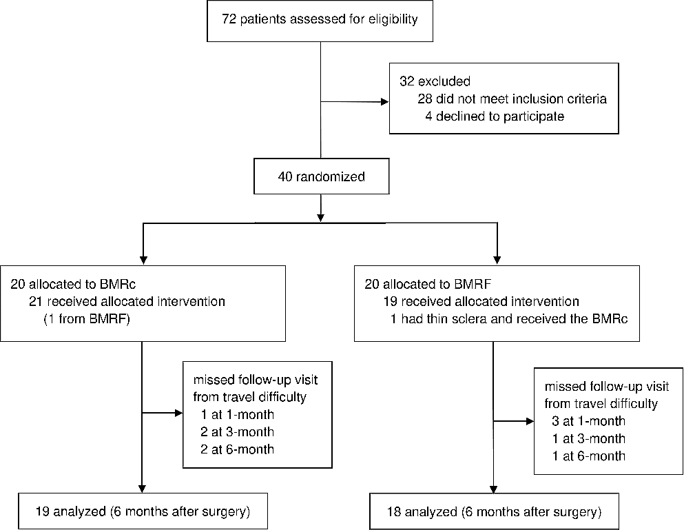 Bilateral medial rectus recession with or without posterior fixation in large-angle infantile esotropia: a randomized controlled trial