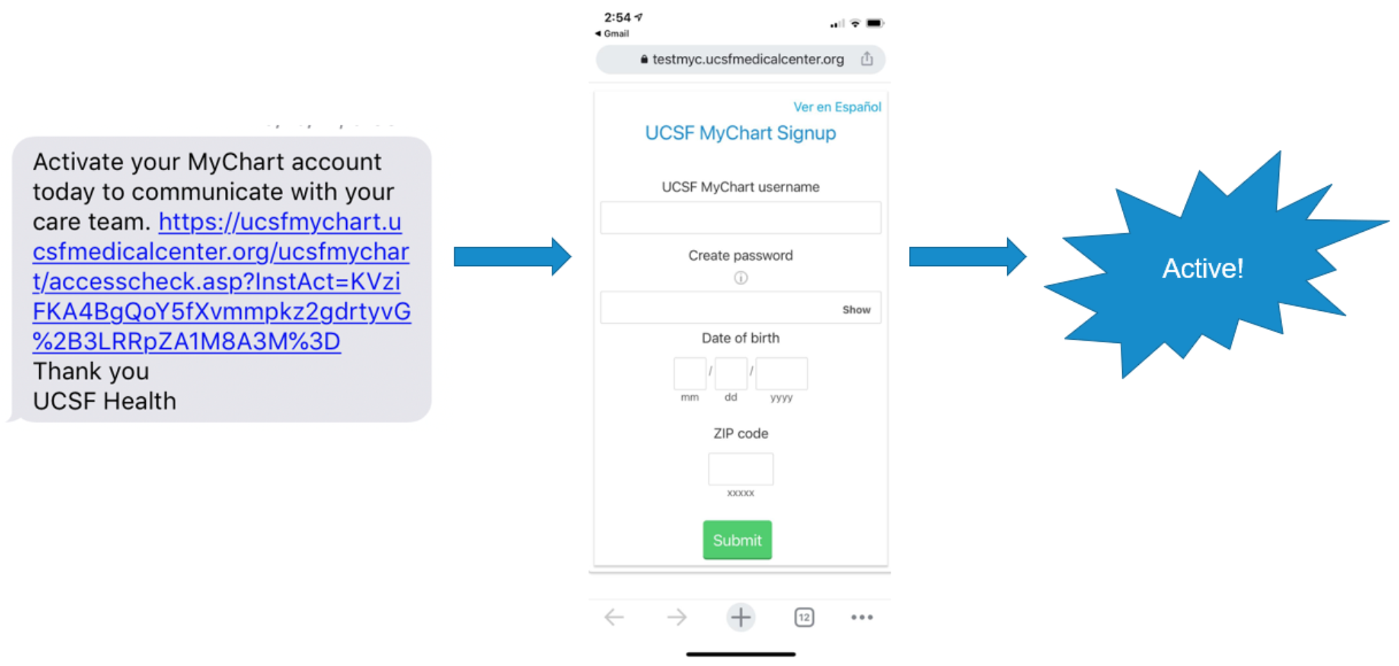 Automatic Enrollment in Patient Portal Systems Mitigates the Digital Divide in Healthcare: An Interrupted Time Series Analysis of an Autoenrollment Workflow Intervention