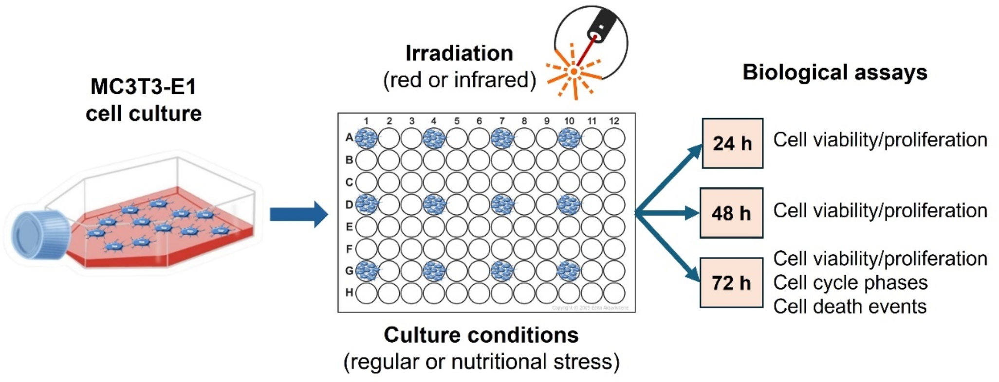 Effect of nutritional stress and photobiomodulation protocol on in vitro viability and proliferation of murine preosteoblast cells