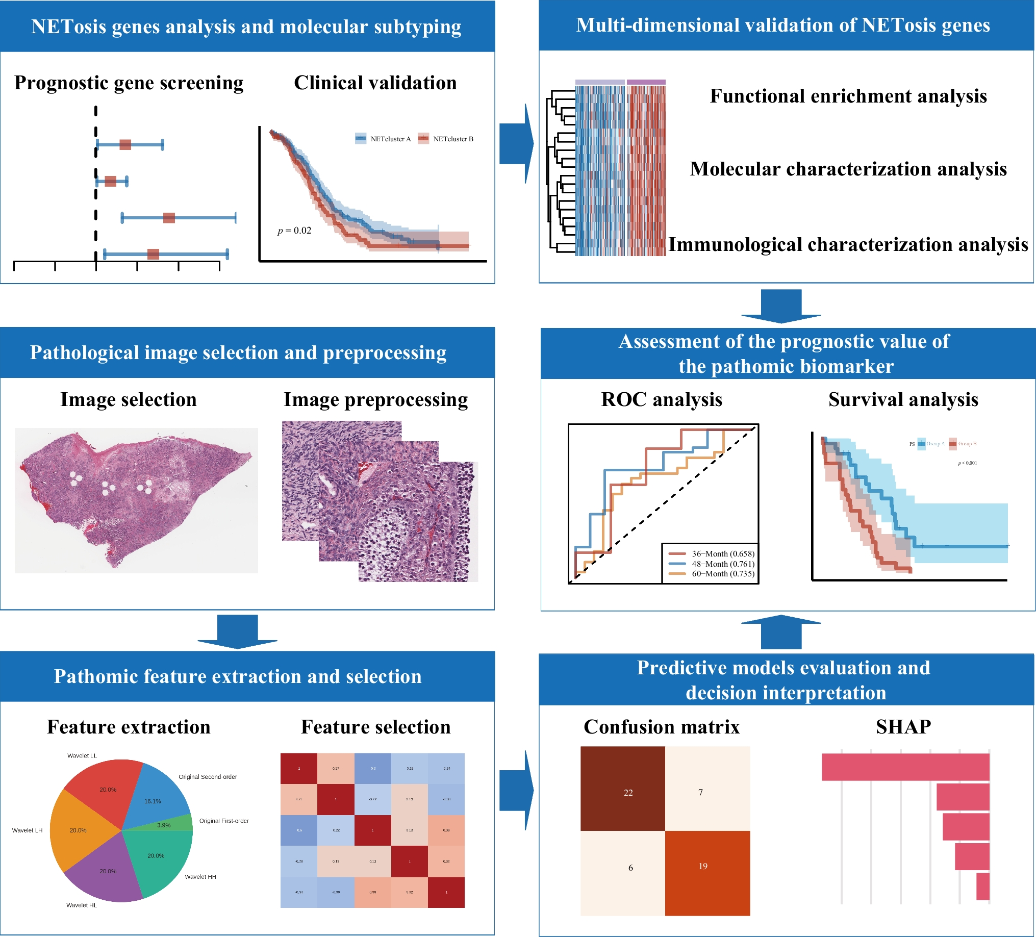 NETosis Genes and Pathomic Signature: A Novel Prognostic Marker for Ovarian Serous Cystadenocarcinoma