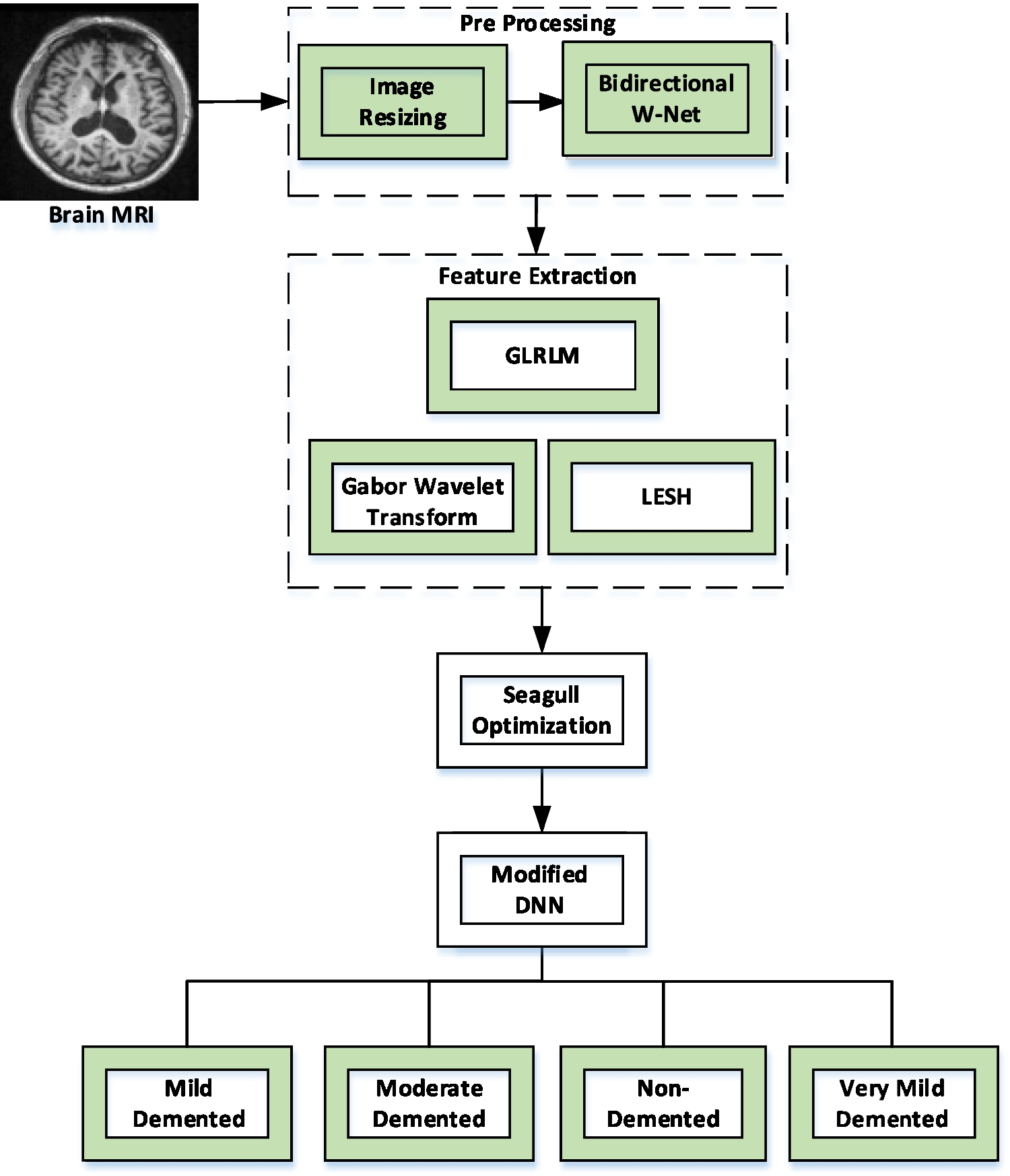 Prediction of Alzheimer’s Disease Using Modified DNN with Optimal Feature Selection Based on Seagull Optimization