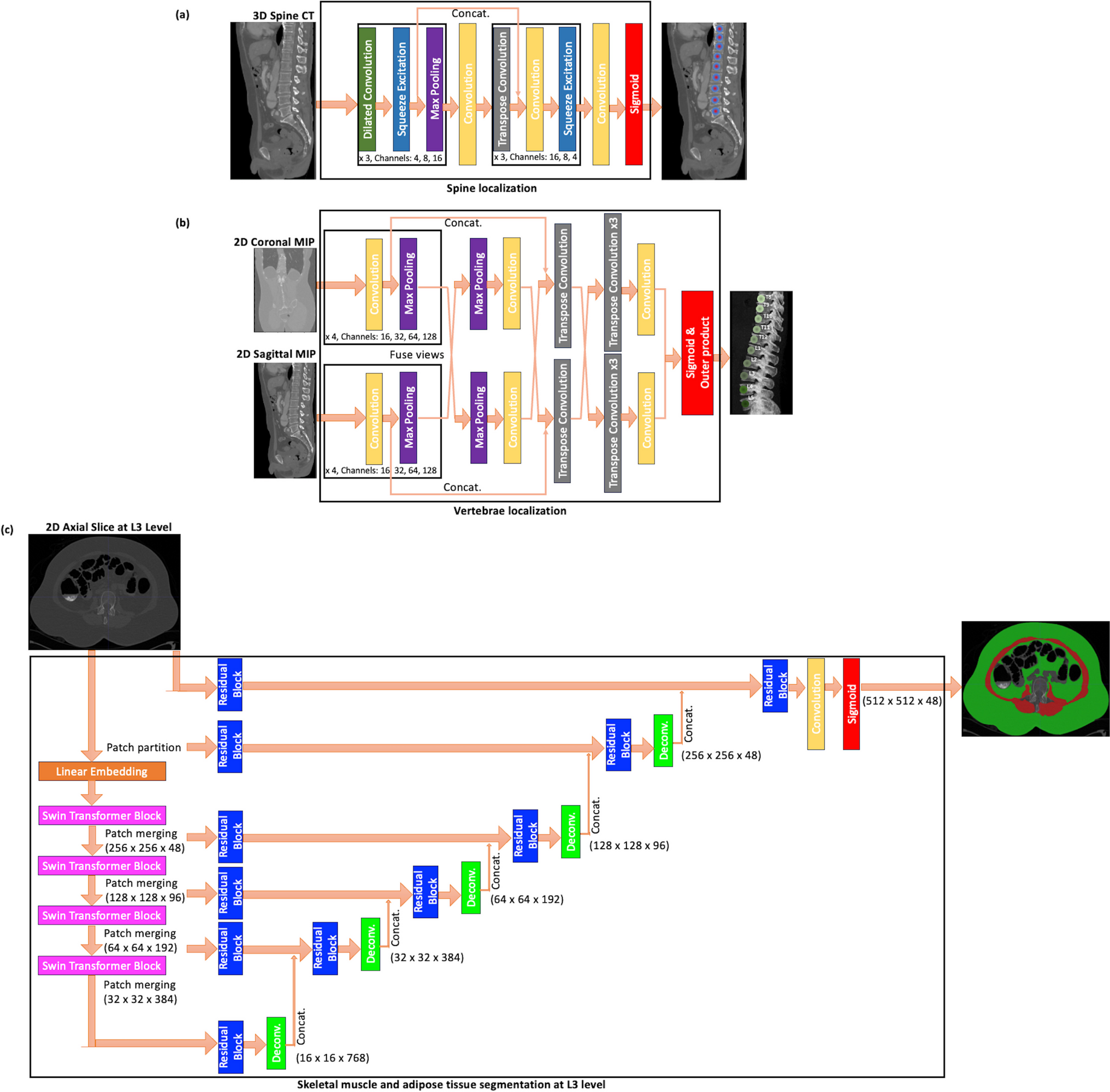 Deep Learning-Based Body Composition Analysis for Cancer Patients Using Computed Tomographic Imaging