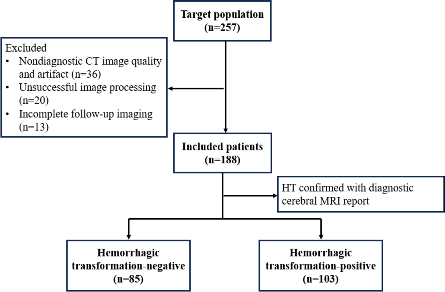 Fusion Learning from Non-contrast CT Scans for the Detection of Hemorrhagic Transformation in Stroke Patients