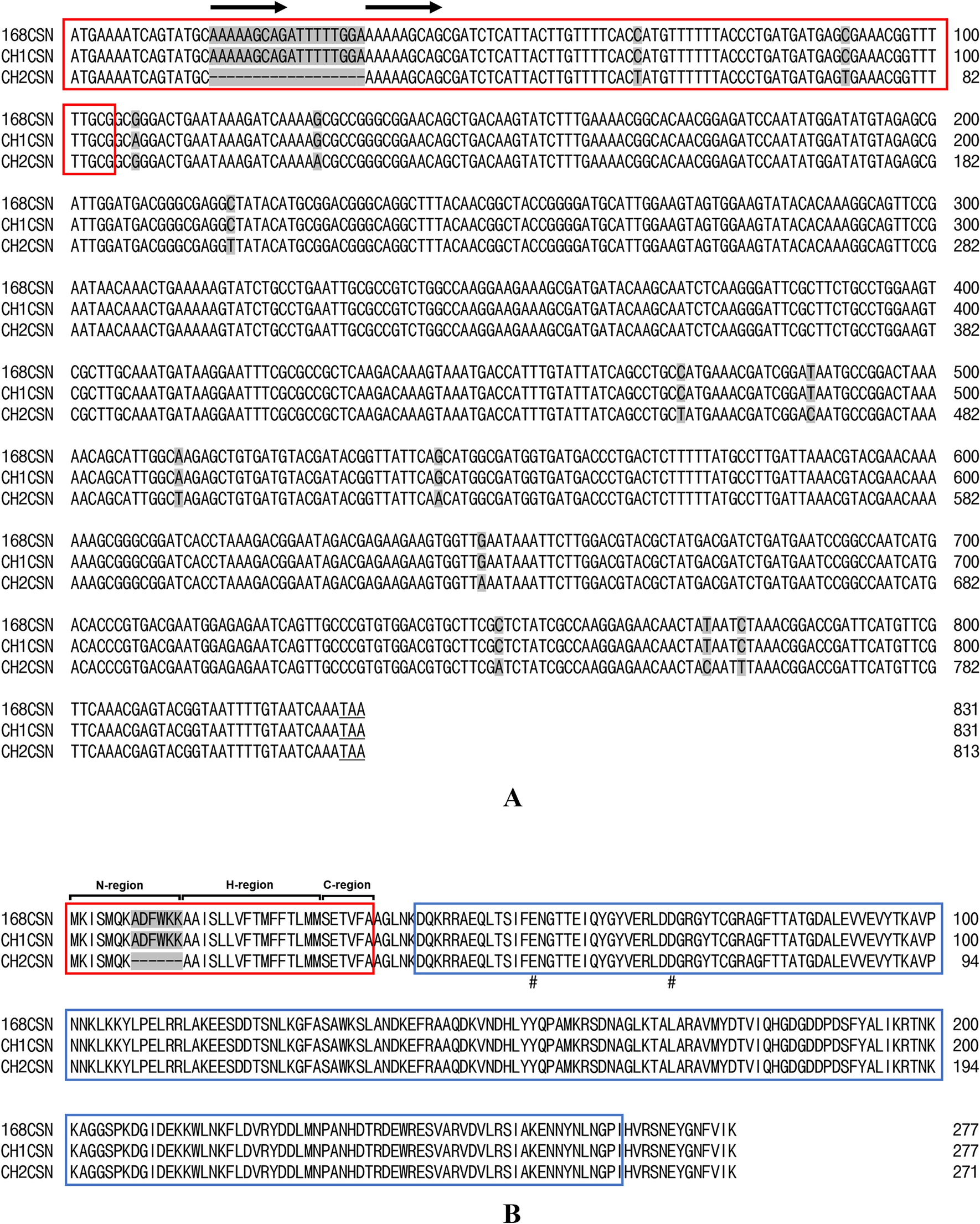 Comparative Secretory Efficiency of Two Chitosanase Signal Peptides from Bacillus subtilis in Escherichia coli