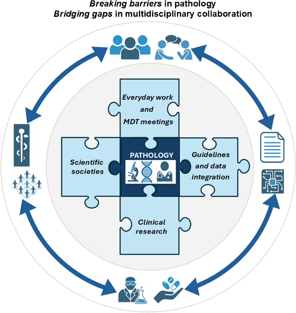 Breaking barriers in pathology: bridging gaps in multidisciplinary collaboration