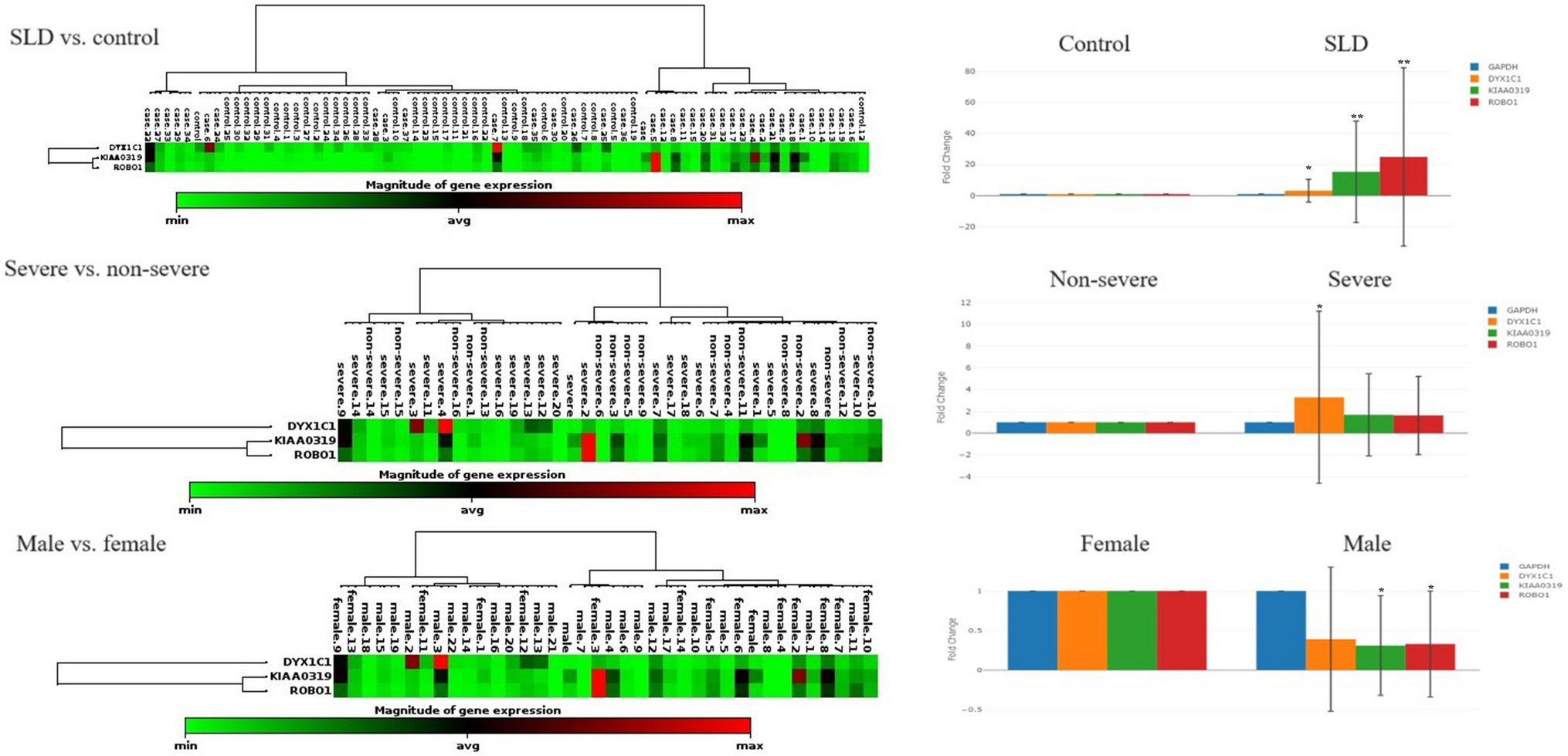 Investigation of Association Between Expression of DYX1C1, KIAA0319, and ROBO1 Genes and Specific Learning Disorder in Children and Adolescents