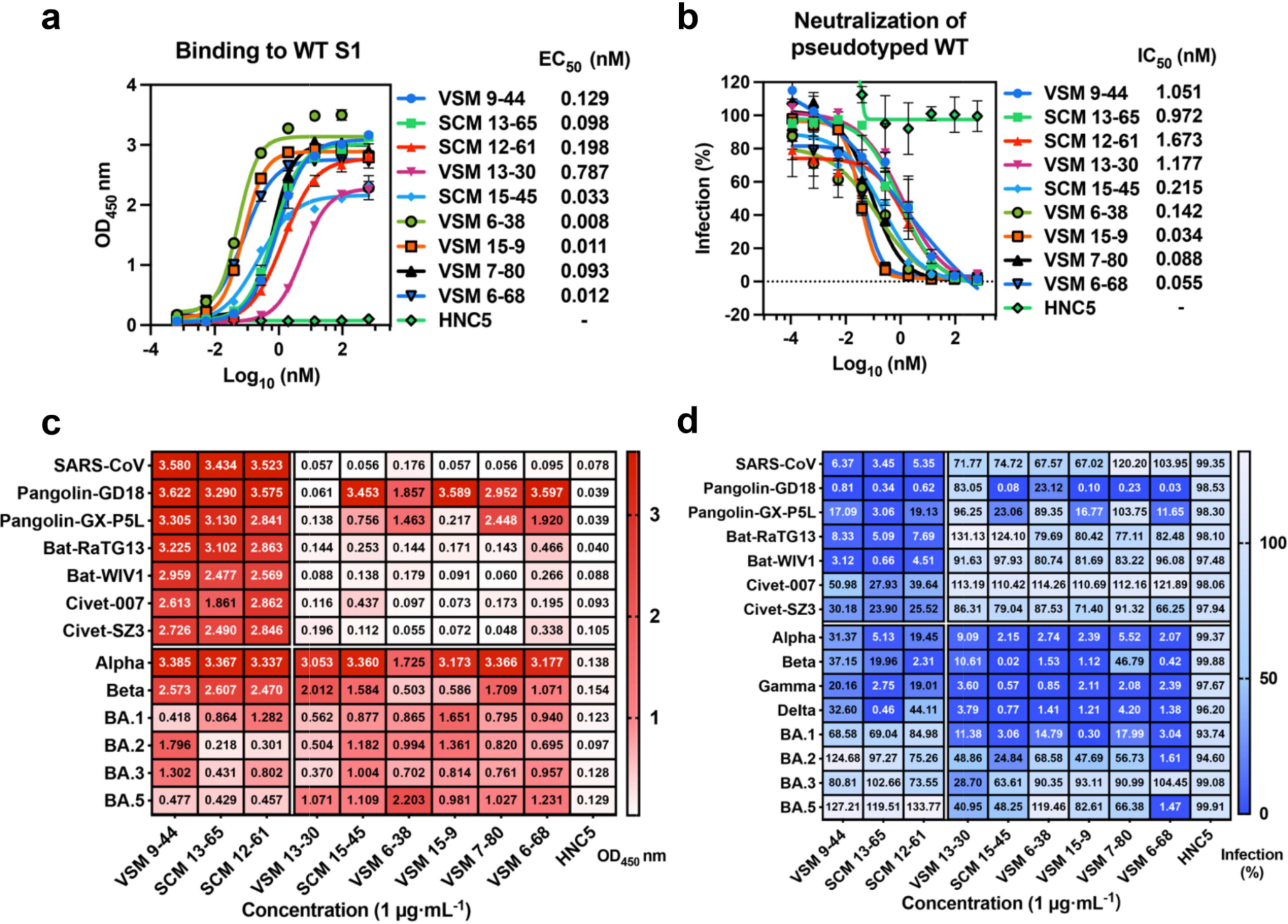 Engineered bispecific antibodies with enhanced breadth and potency against SARS-CoV-2 variants and SARS-related coronaviruses