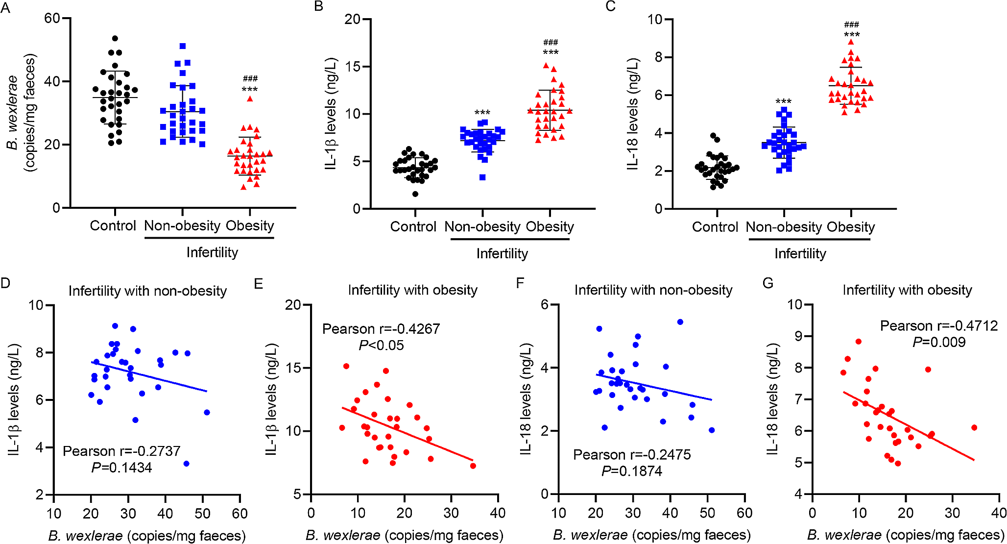 Effects of acetate-producing Blautia wexlerae on oxidative stress and NLRP3 inflammasome in obesity-associated male infertility