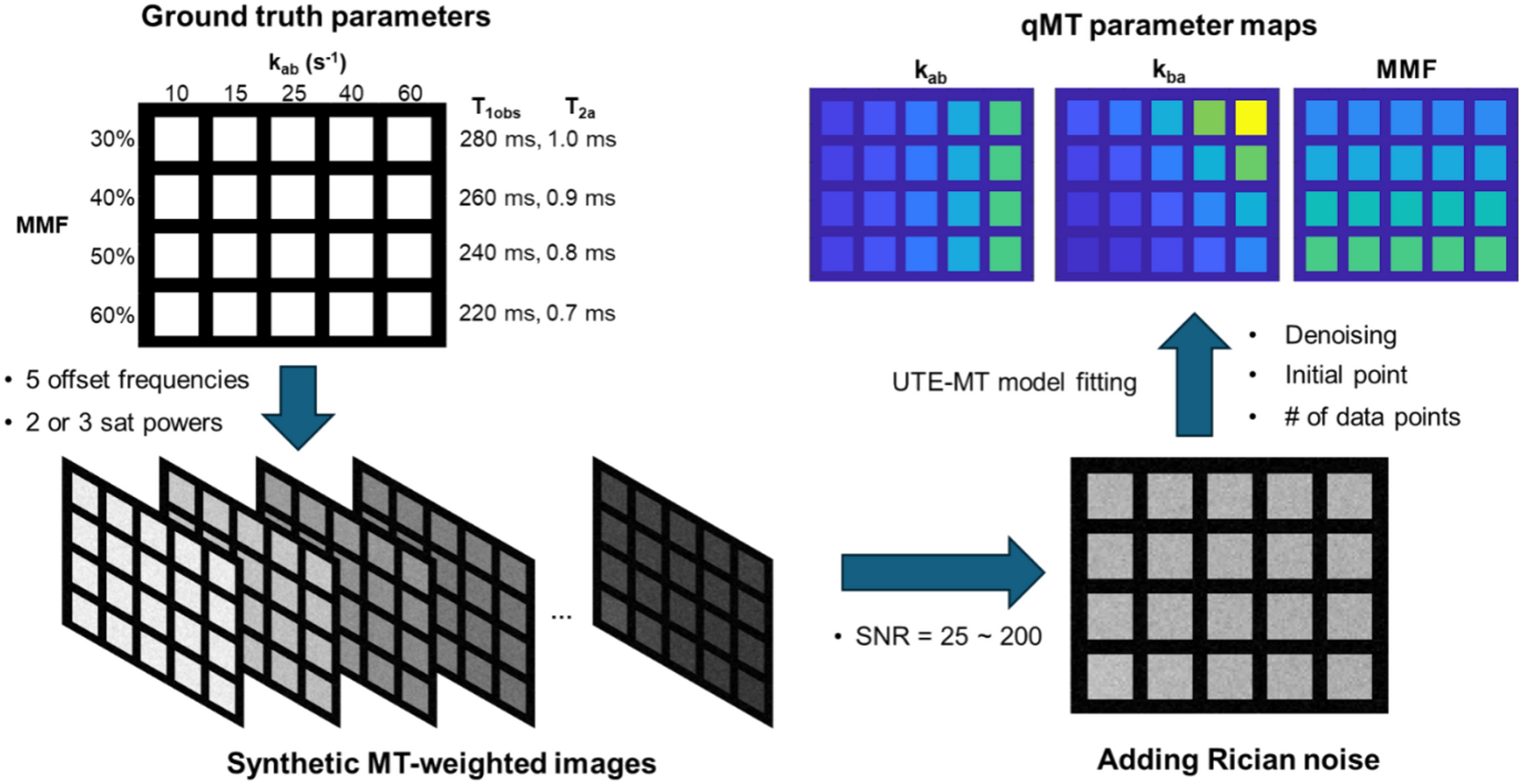 Towards assessing and improving the reliability of ultrashort echo time quantitative magnetization transfer (UTE-qMT) MRI of cortical bone: In silico and ex vivo study