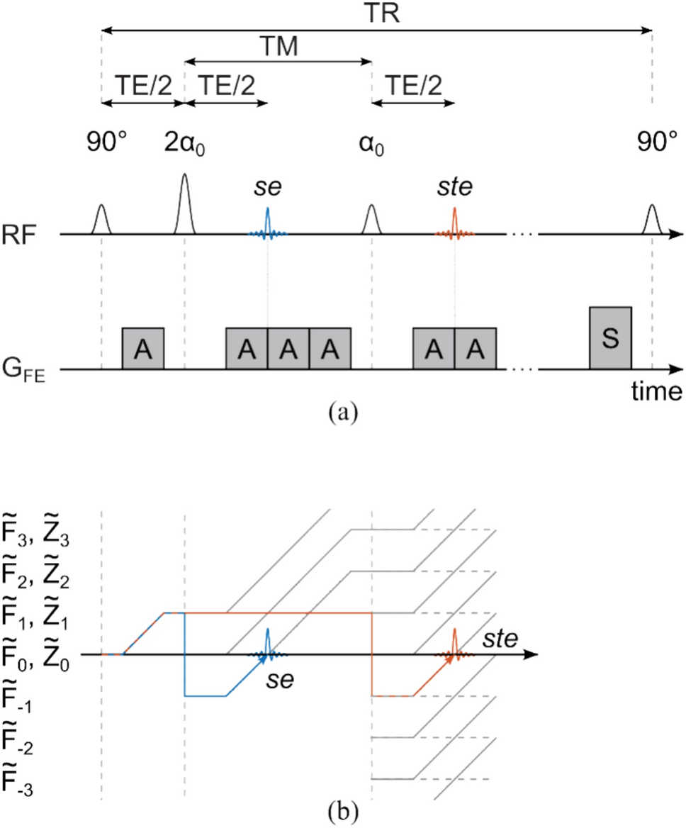 Fast bias-corrected conductivity mapping using stimulated echoes
