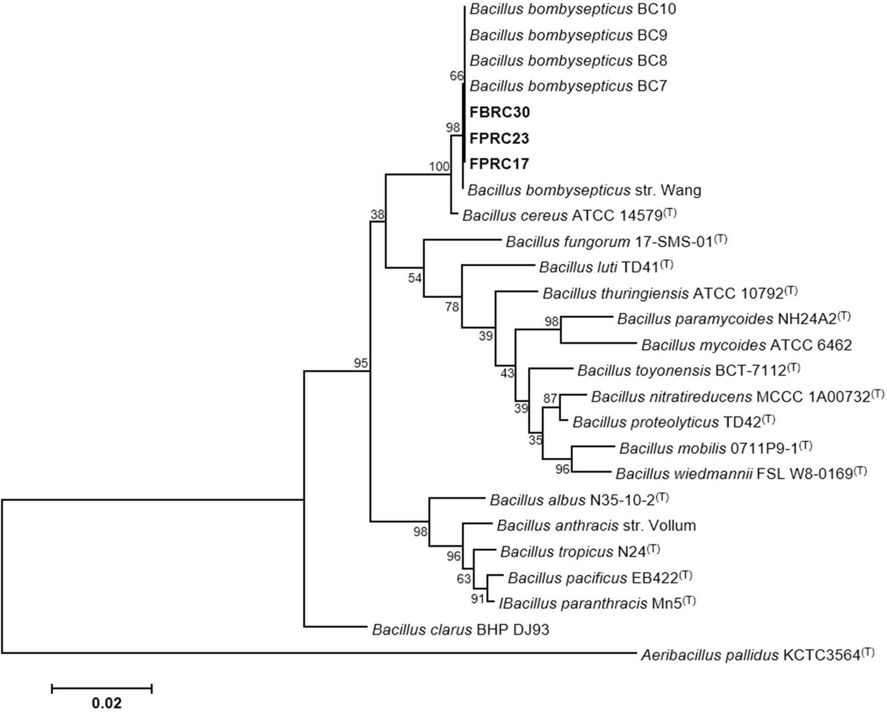 Bacillus bombysepticus, an Entomopathogen in Yellow-Spined Bamboo Locust with Biocontrol Potential