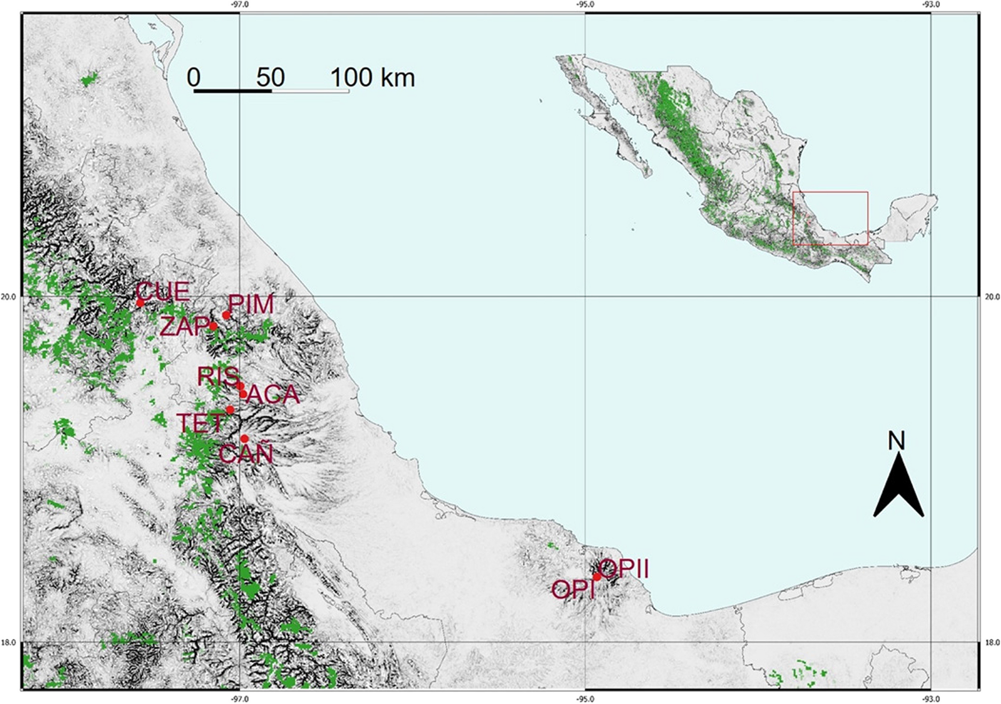 Genetic Diversity of the Stingless Bee Scaptotrigona mexicana (Guérin) in the Gulf of Mexico Slope