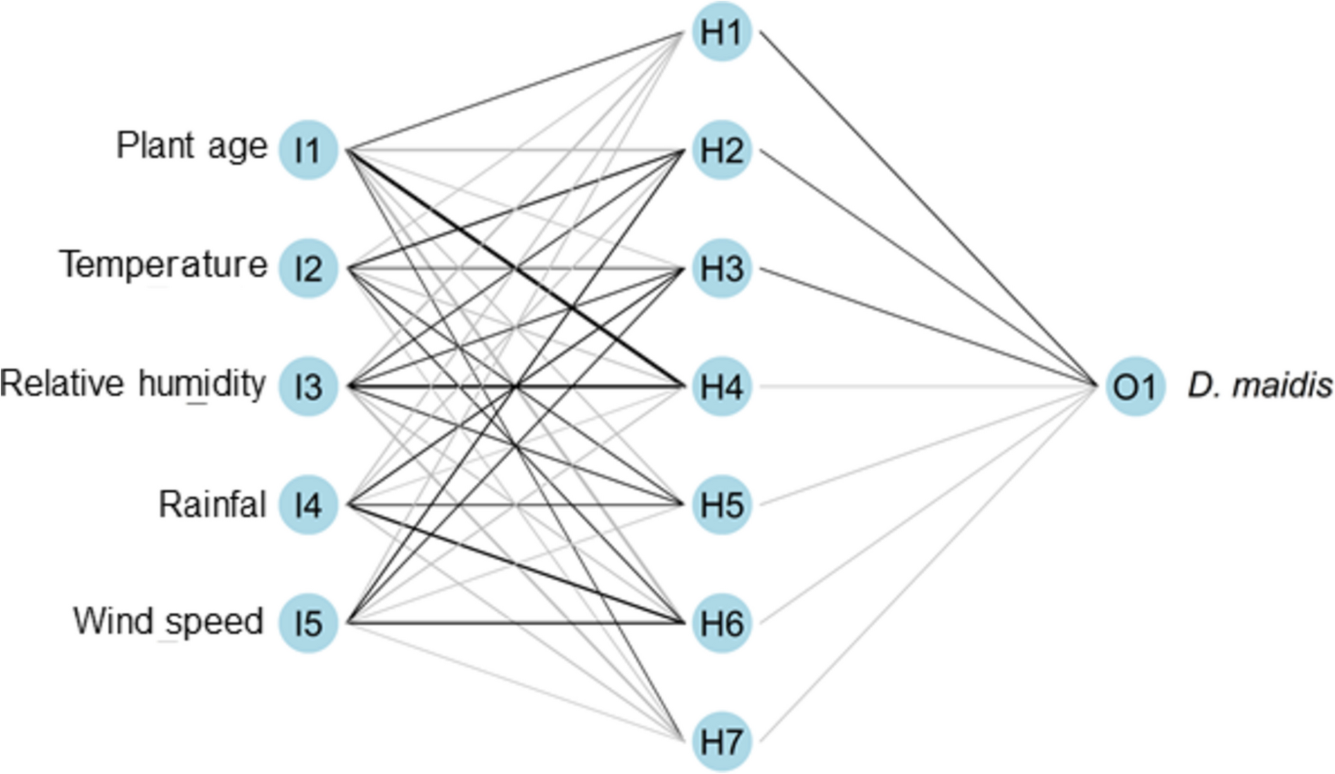 Predicting the seasonal dynamics of Dalbulus maidis (Hemiptera: Cicadellidae) in corn using artificial neural networks