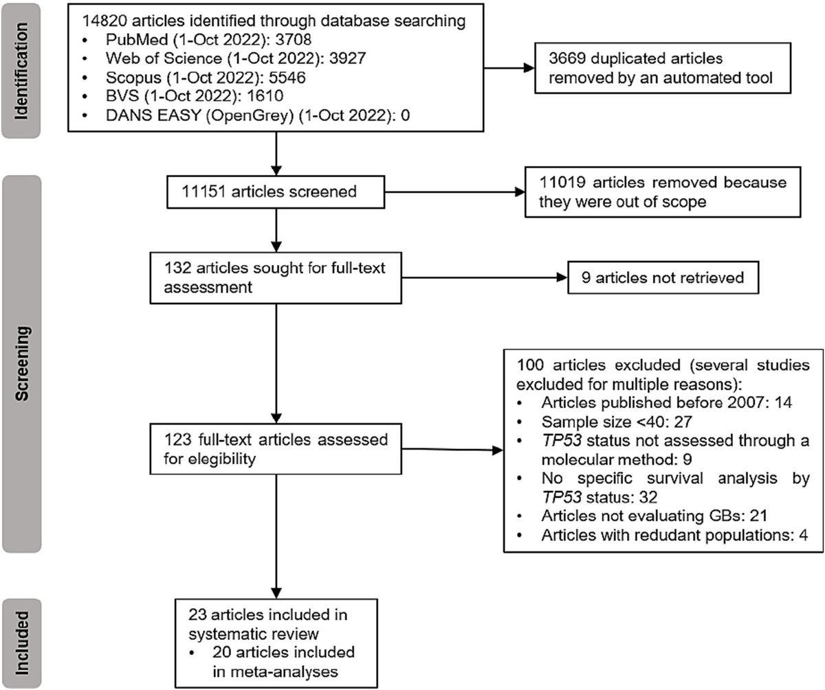 TP53 oncogenic variants as prognostic factors in individuals with glioblastoma: a systematic review and meta-analysis