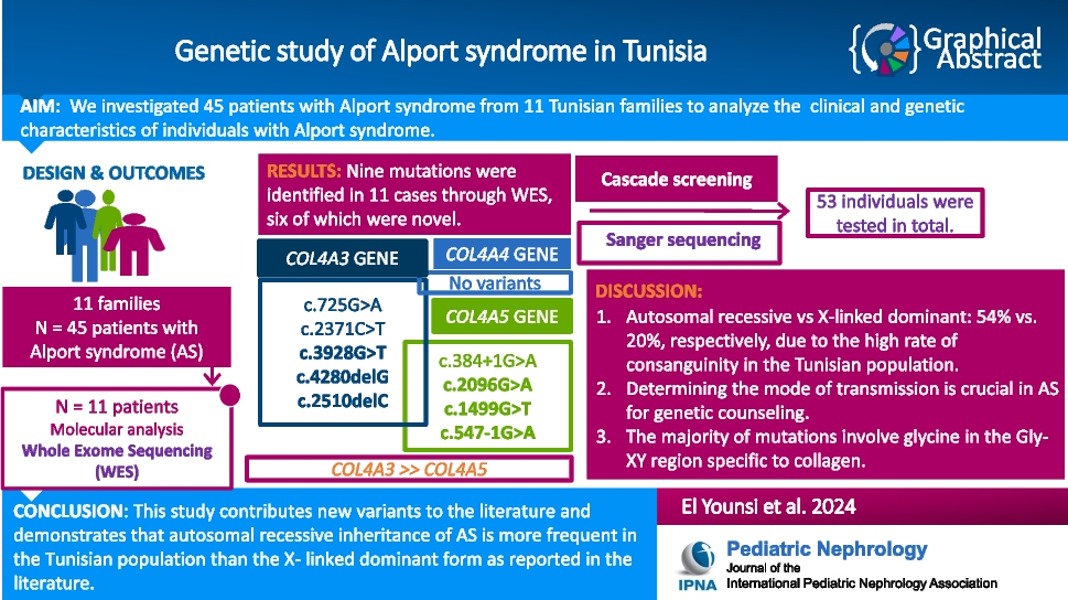 Genetic study of Alport syndrome in Tunisia
