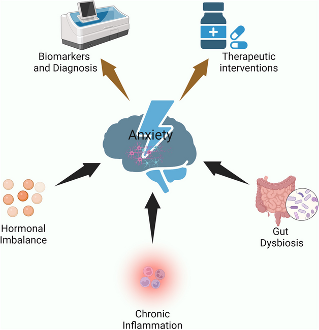 Intricate mechanism of anxiety disorder, recognizing the potential role of gut microbiota and therapeutic interventions
