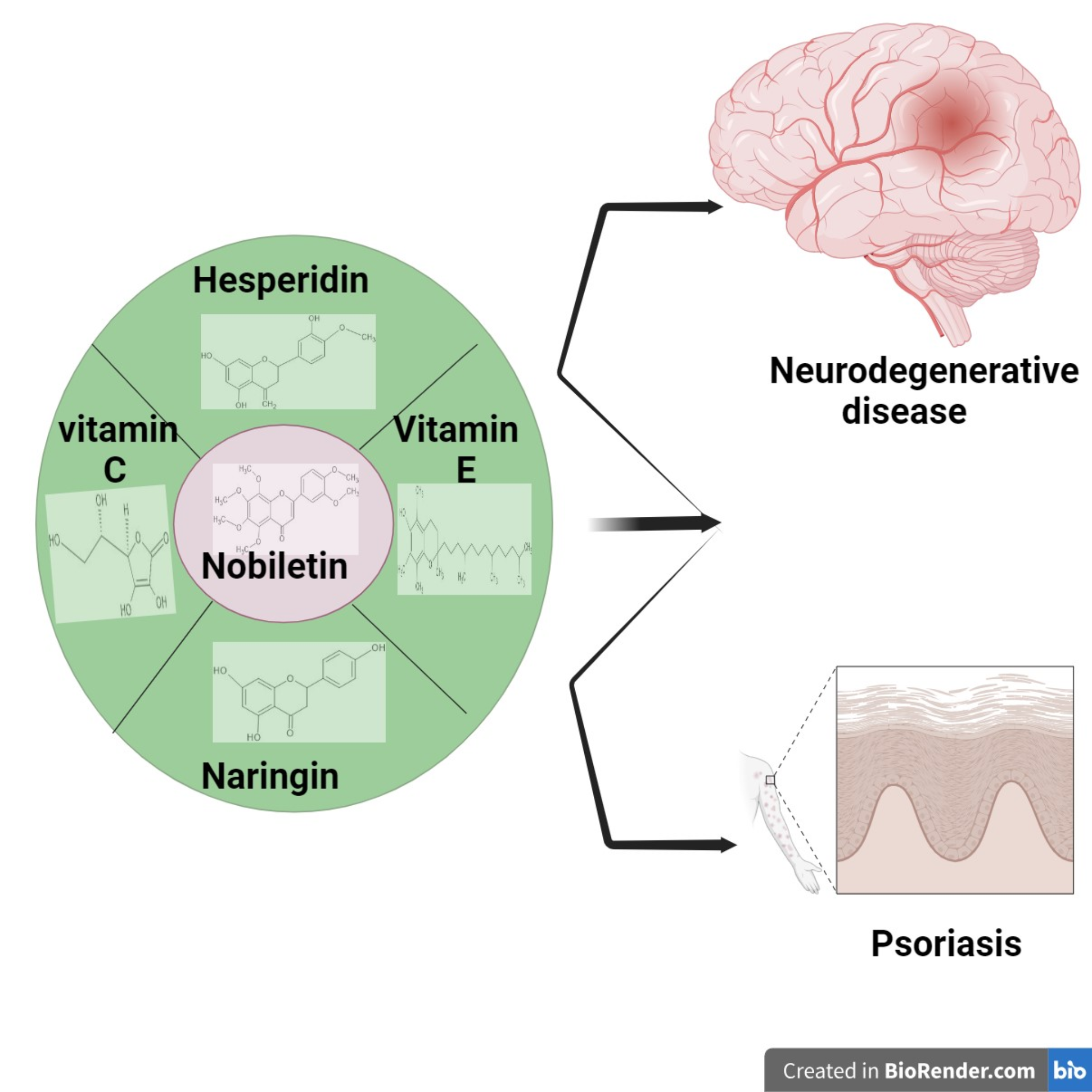 Exploring role of citrus fruits in comorbid neurodegenerative disorders associated with psoriasis