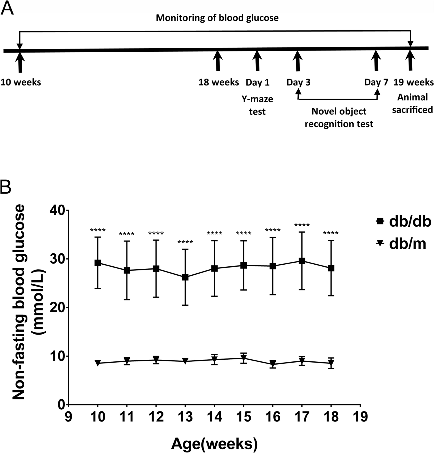 Distinct Hippocampal Expression Profiles of lncRNAs in Obese Type 2 Diabetes Mice Exhibiting Cognitive Impairment