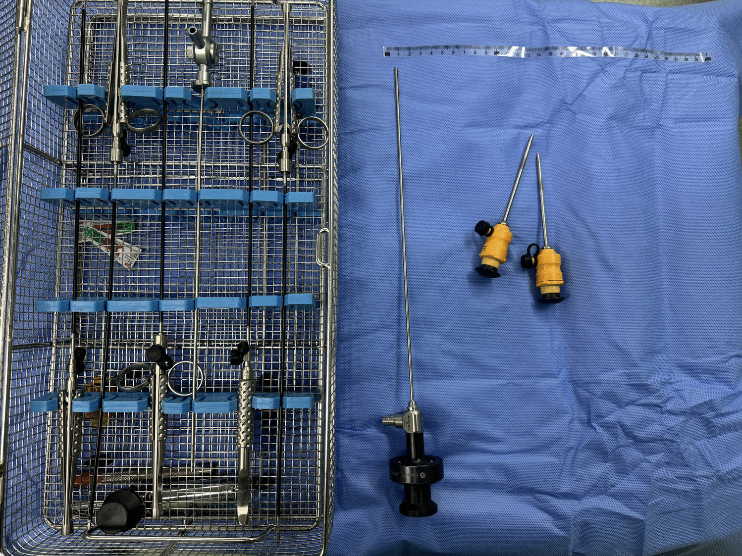 Needlescopic Laparoscope Sleeve Gastrectomy (NLSG): a Potential Surgical Approach