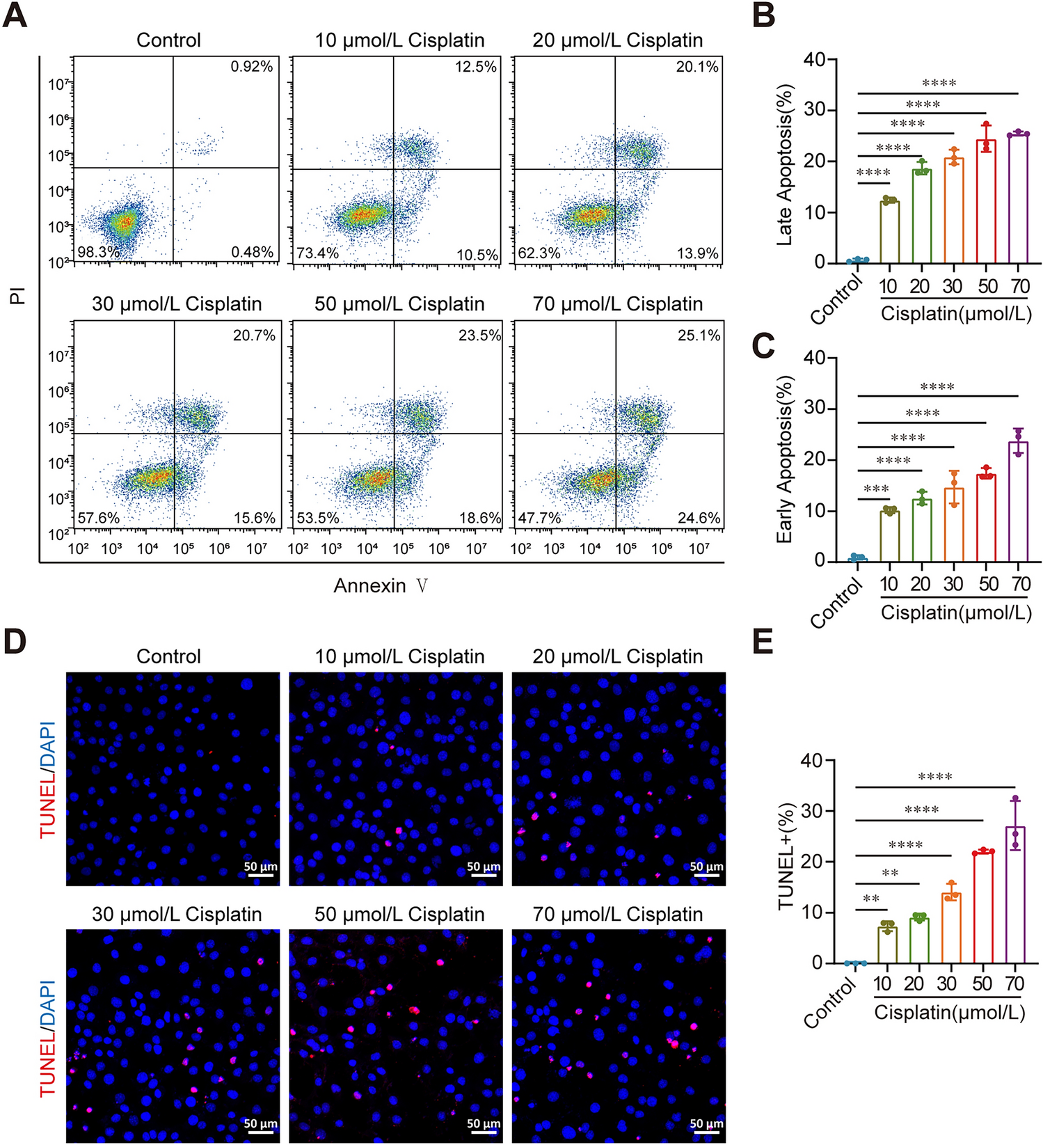 Inhibition of the cGAS‑STING Pathway Reduces Cisplatin-Induced Inner Ear Hair Cell Damage