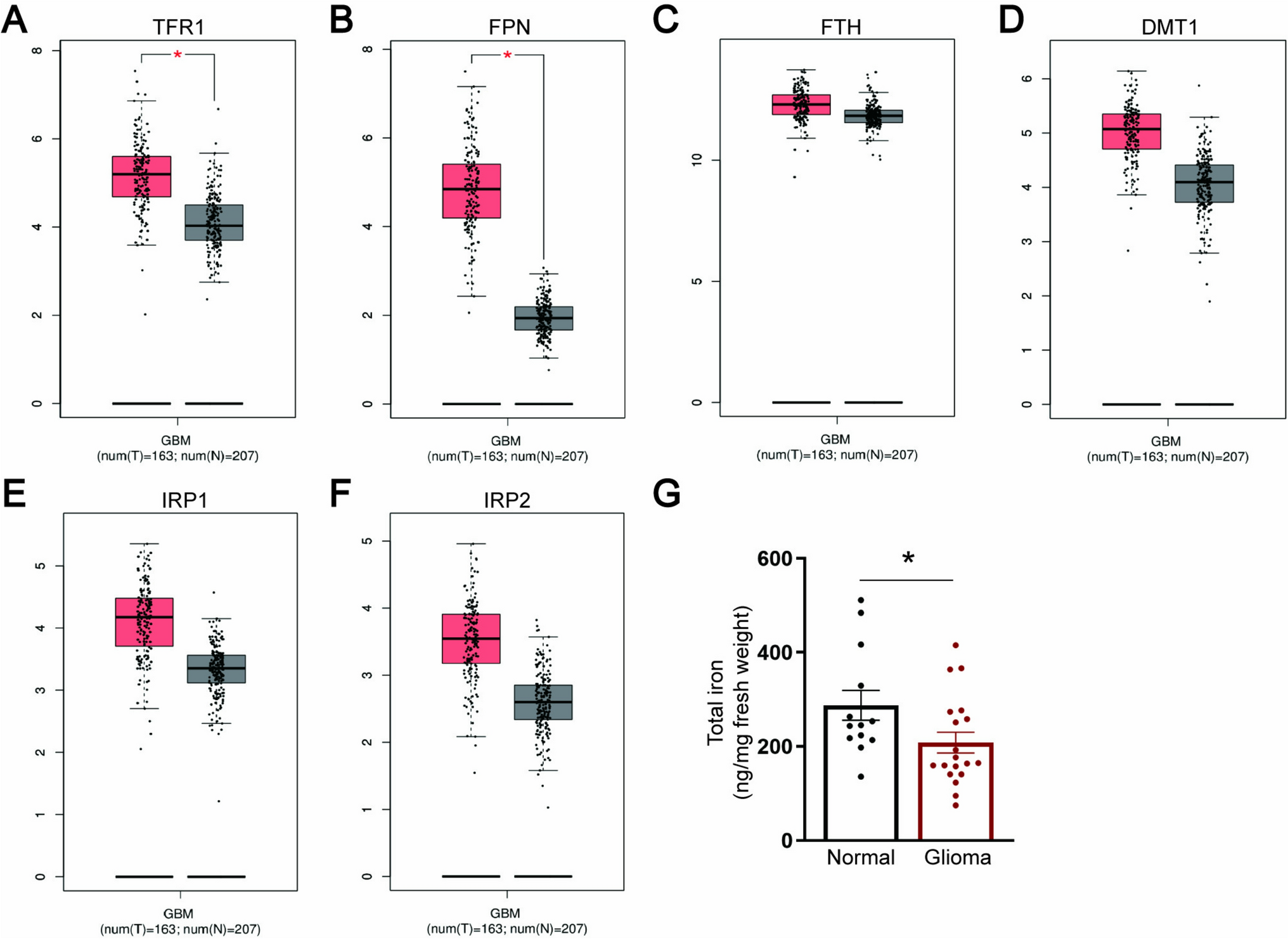 Dysregulation of Iron Homeostasis Mediated by FTH Increases Ferroptosis Sensitivity in TP53-Mutant Glioblastoma