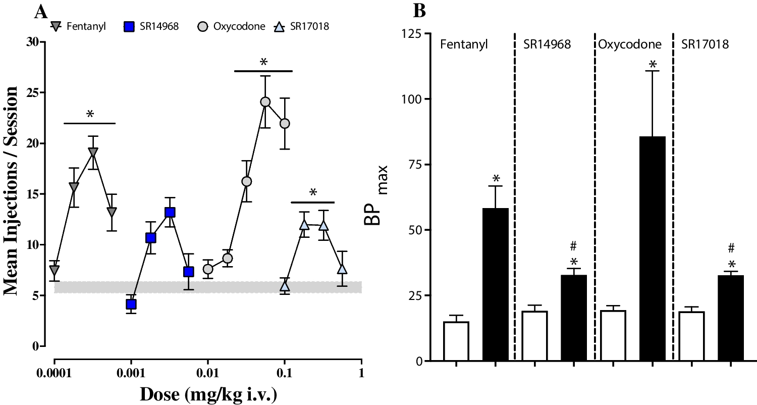 Comparison of the reinforcing, antinociceptive, and respiratory depressant effects of prototypical and G-protein biased mu-opioid receptor agonists in male and female Sprague–Dawley rats