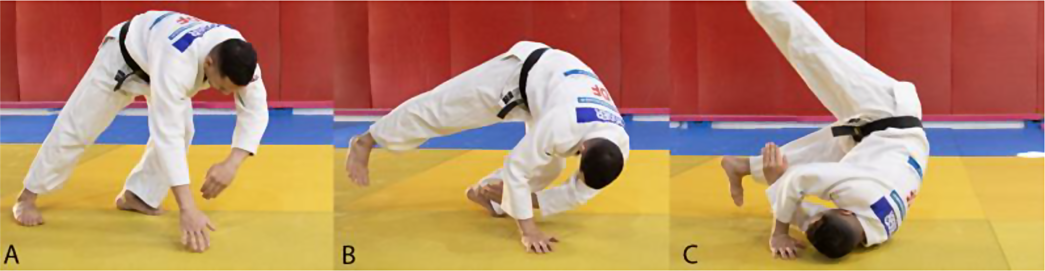 Cervical spine injuries in professional judo: a cross-sectional analysis of prevalence, risk factors, and preventive measures