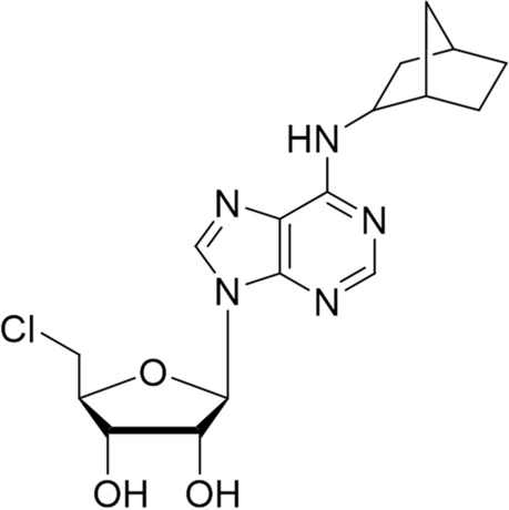 Pharmacology of Adenosine A1 Receptor Agonist in a Humanized Esterase Mouse Seizure Model Following Soman Intoxication