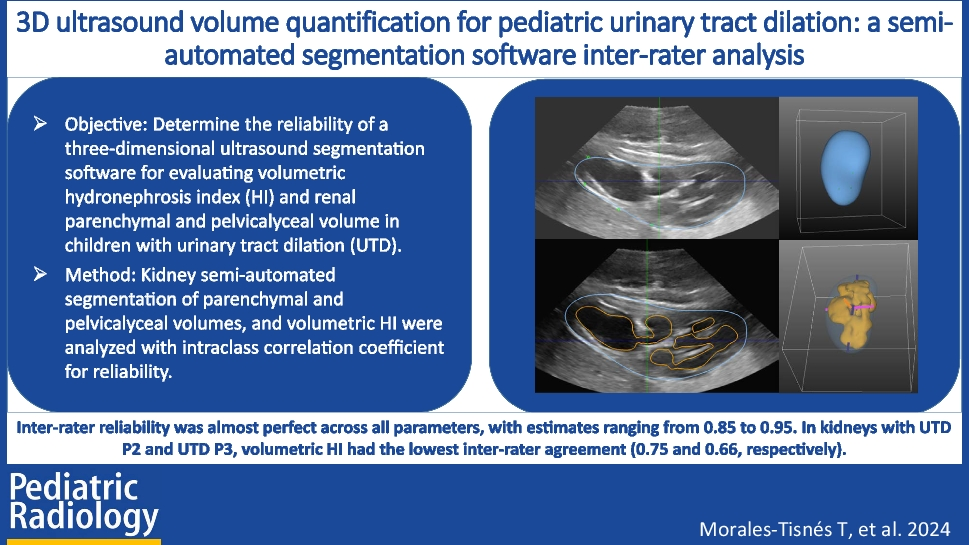 3D ultrasound volume quantification for pediatric urinary tract dilation: a semi-automated segmentation software inter-rater analysis