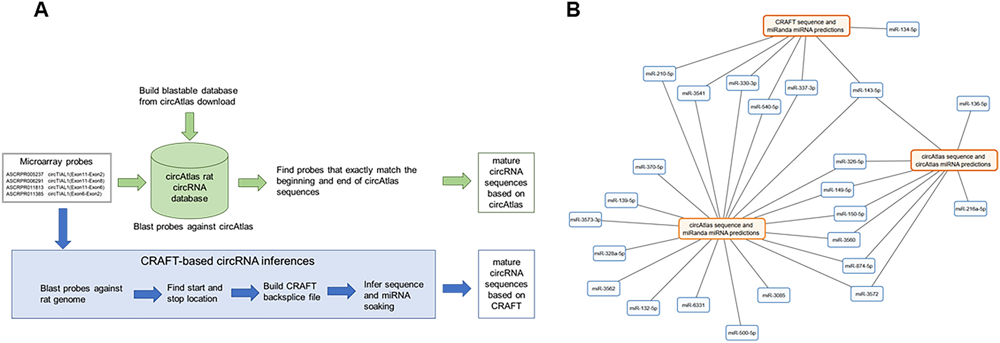 Validation and in silico function prediction of circtial1 as a novel marker of abnormal lung development in nitrofen-induced congenital diaphragmatic hernia (CDH)