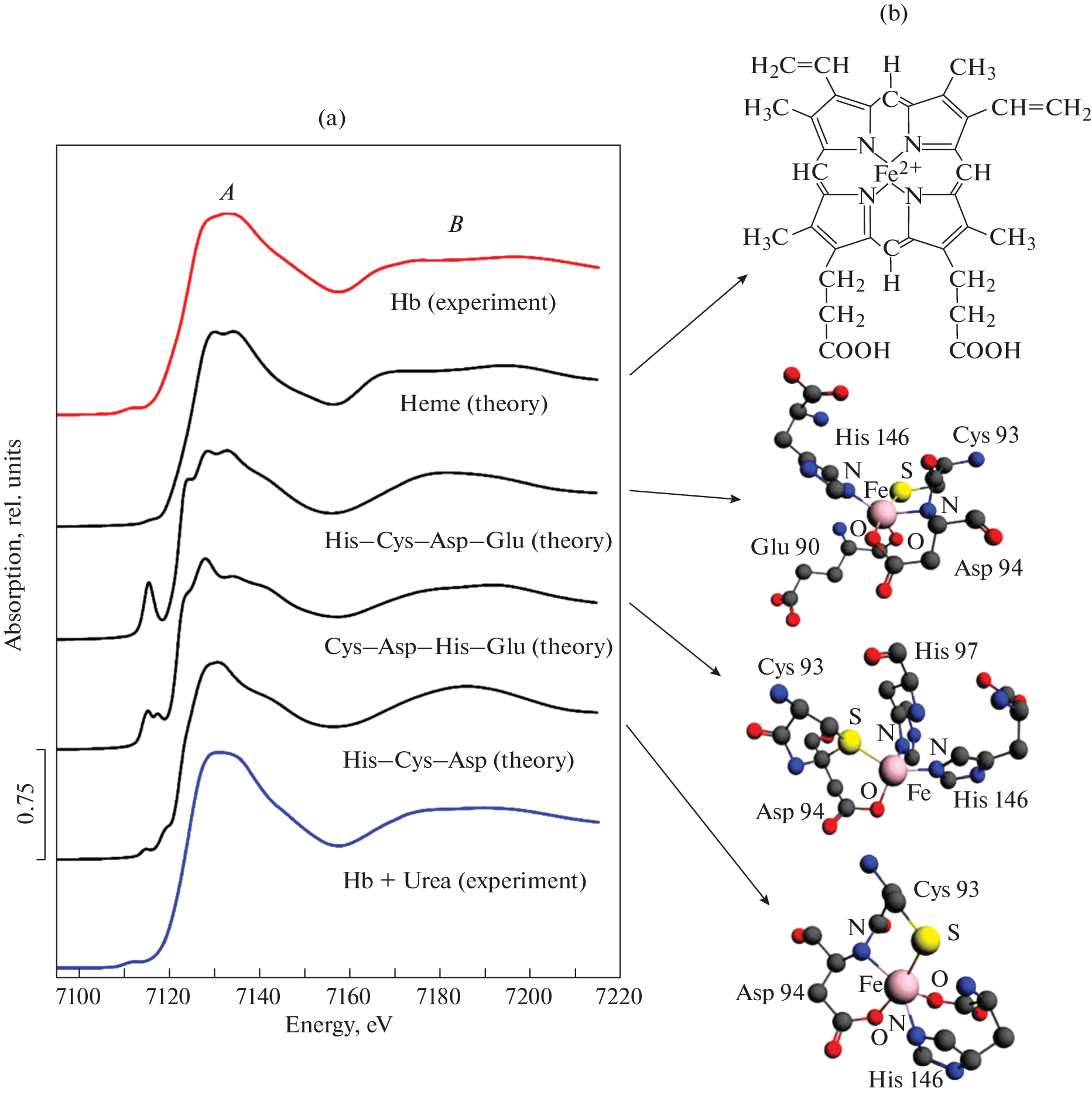 Additional Iron Ions Binding Sites in Hemoglobin: XANES Modeling