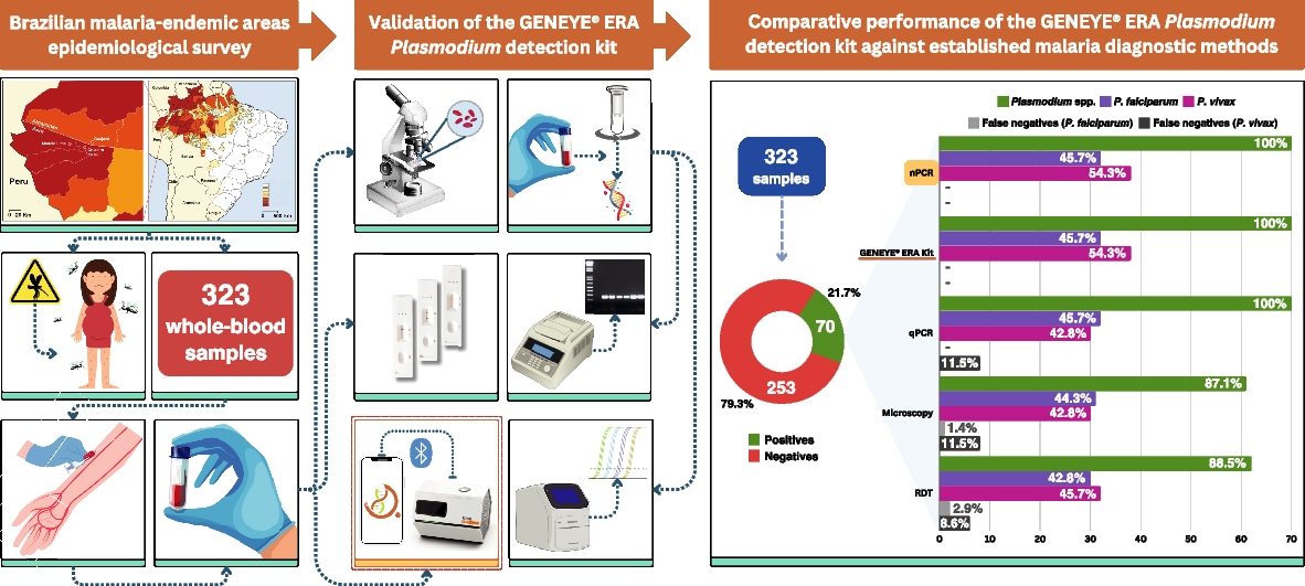Novel isothermal nucleic acid amplification method for detecting malaria parasites