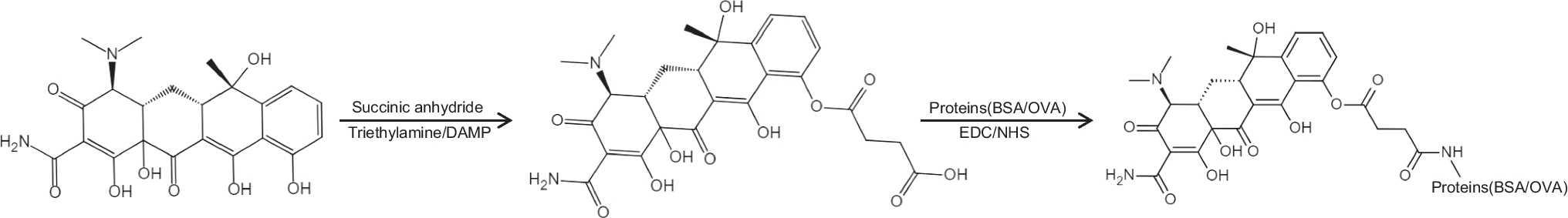 Quantitative fluorescent detection of tetracycline in animal-derived foods using quantum dots