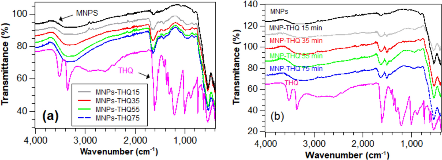 Magnetic and electrochemical characterization of magnetite nanoparticles modified with tetrahydroxyquinone