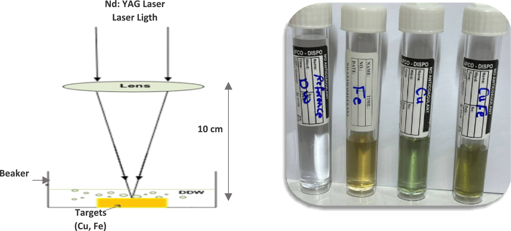 Agro-environmental influence and interaction of nanoparticles (CuO, Fe3O4, Fe3O4@CuO) on microorganisms causing illnesses of tomato root and stems