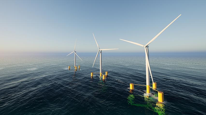 Ambitious study to explore effects of offshore wind farms on ocean life