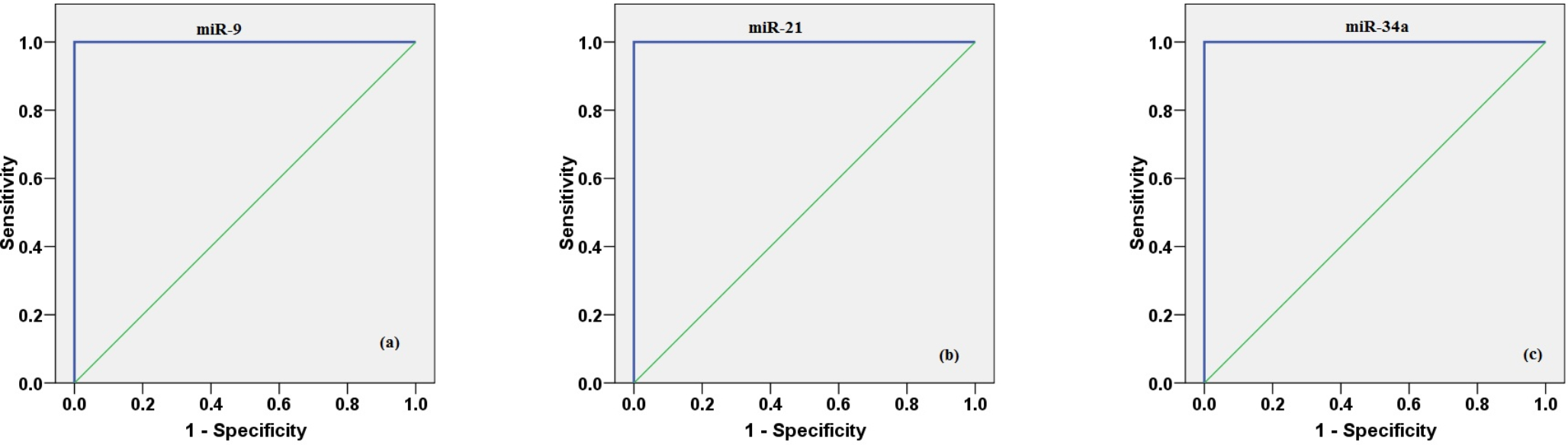 Insights for miR-9, miR-21, and miR-34a Expression Levels and Their Cross-Talk with TNF-α, IL-1β, and Nrf2 Levels in Diabetic Nephropathy Patients