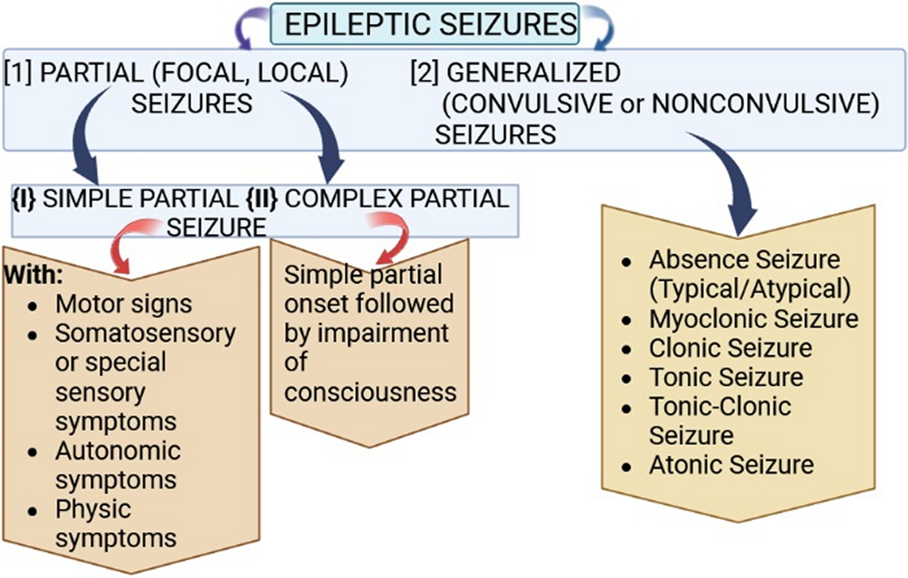 Current Paradigms in Understanding Neuron Fluctuations, Factors, Regulation, Pathophysiology of Epilepsy: Advancements in Diagnosis, Treatment and Management—An Update