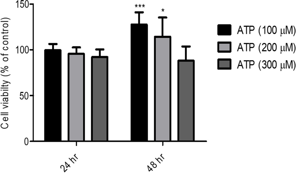 Molecular mechanisms of extracellular-ATP-mediated colorectal cancer progression: Implication of purinergic receptors-mediated nucleocytoplasmic shuttling of HuR