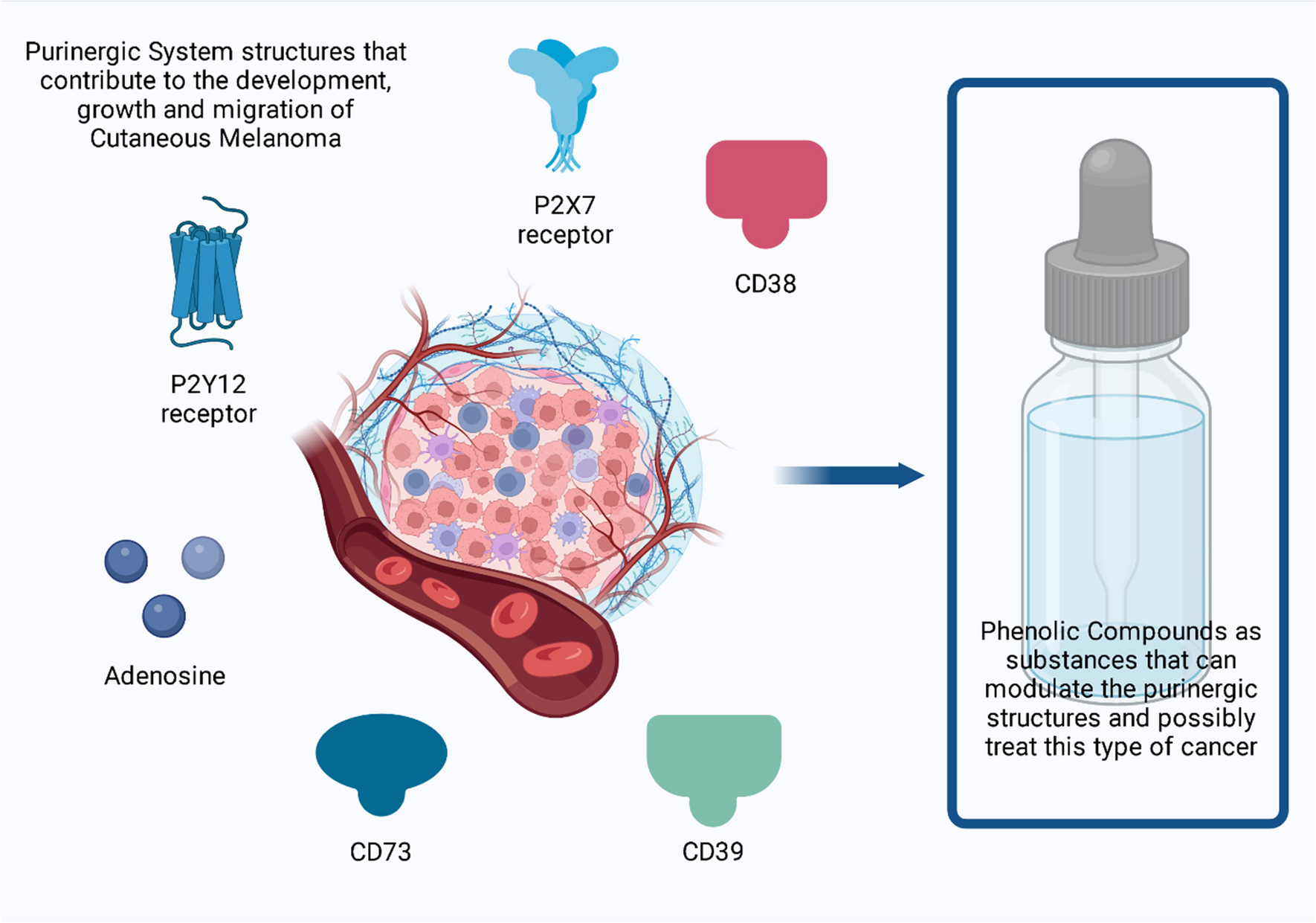 Cutaneous melanoma and purinergic modulation by phenolic compounds