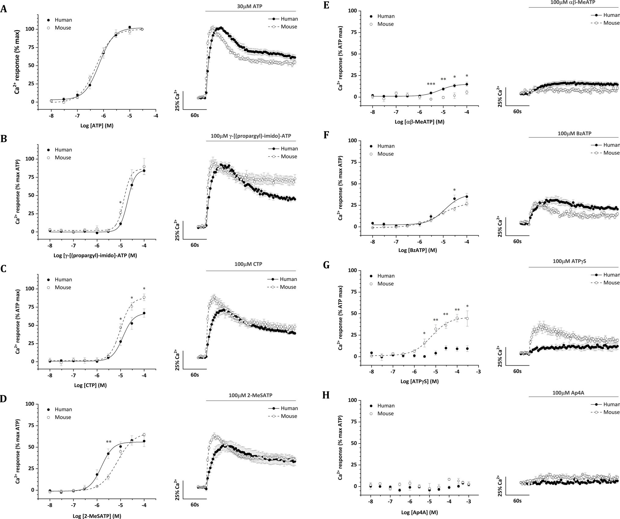 Pharmacological differences between human and mouse P2X4 receptor explored using old and new tools